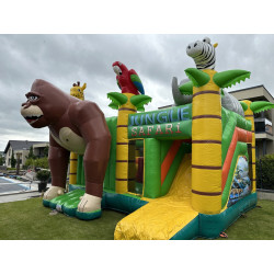 Multiplay Hüpfburg