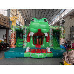 Multiplay Hüpfburg